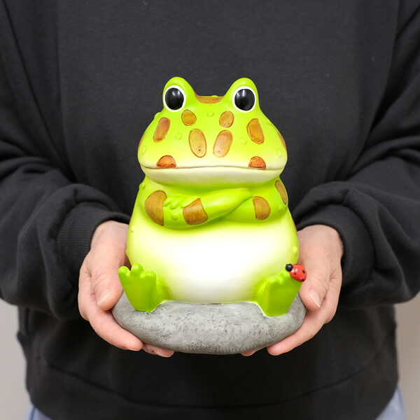 楽天市場】【新商品】DK157 Copeau コポー ガーデン ツノガエルと