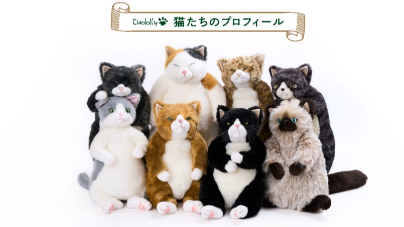 楽天市場】【ぬいぐるみ】【送料無料】Cuddly (カドリー）茶々丸2