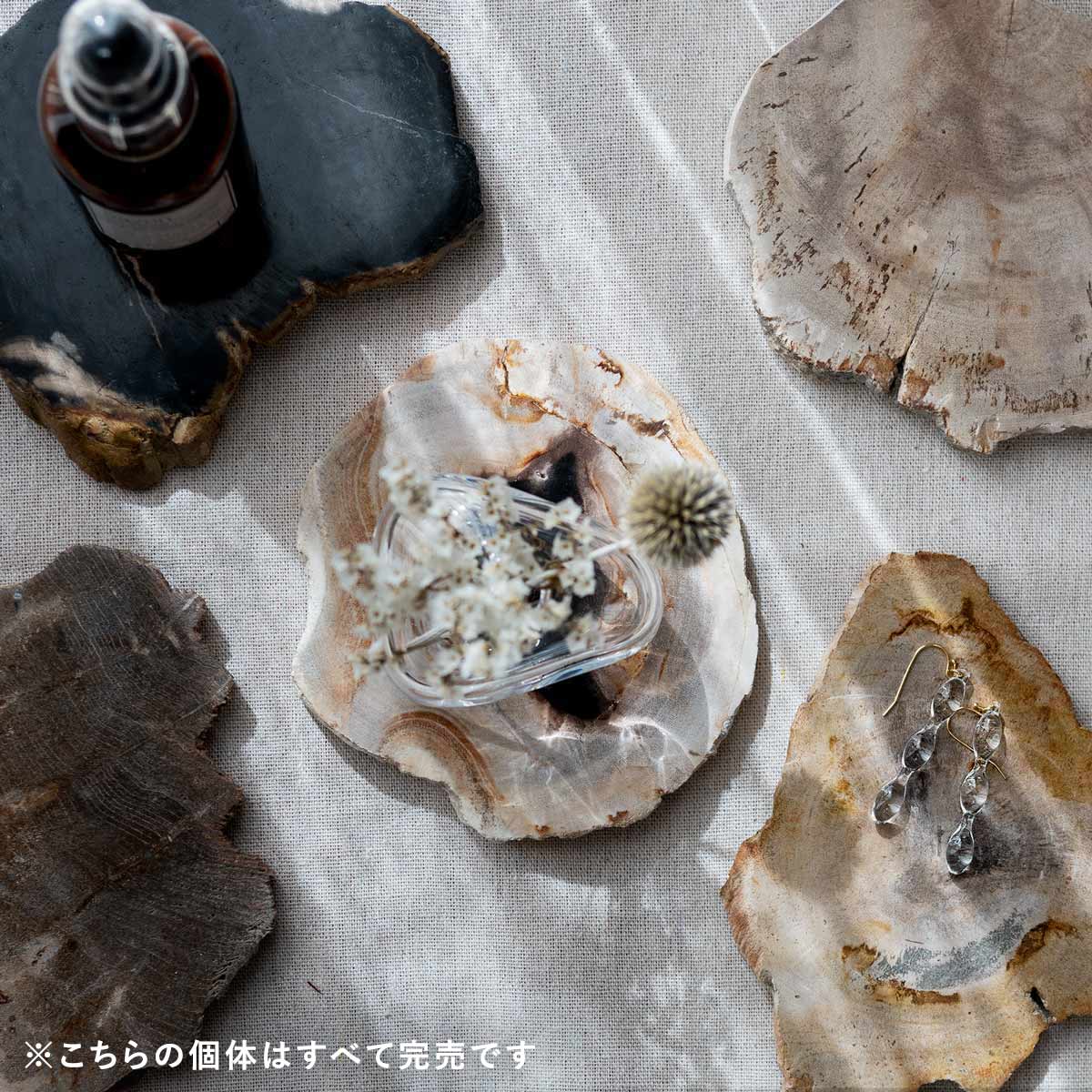 150個体が選べます amabro 珪化木 ウッドコースター ナチュラル