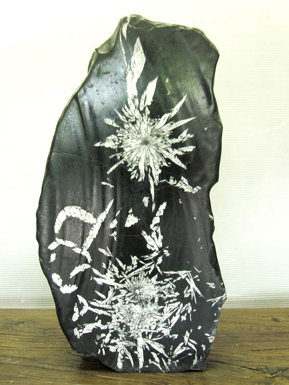 菊花石 販売・通販｜一点物の鑑賞石・庭石・菊紋様の至宝 [現物見学可