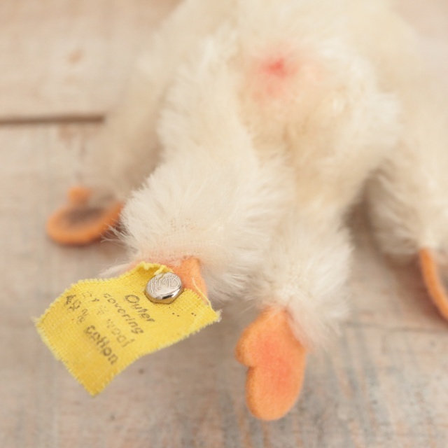 アンティーク シュタイフ チンパンジー 白 Steiff Jocko 10cm