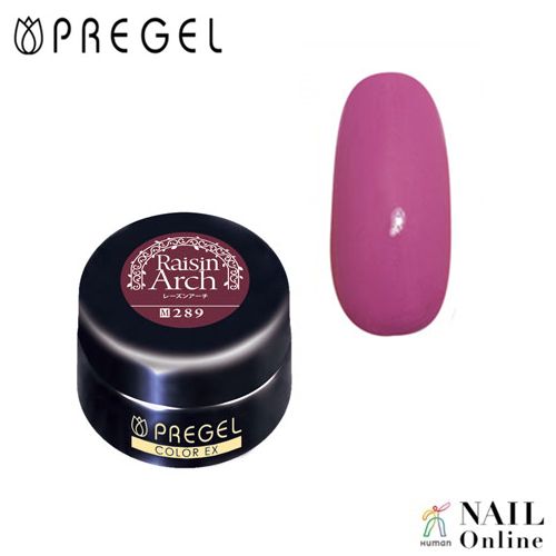 PREGEL】 【マット】 4g カラーEX PG-CE289 レーズンアーチ
