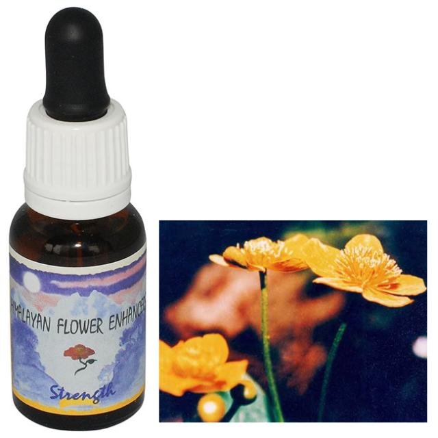 ストリングス ヒマラヤンエンハンサーズ チャクラキット