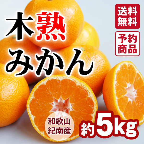 送料無料】木熟みかん（S～Mサイズ） 5kg 紀州梅干し・みかんのJA