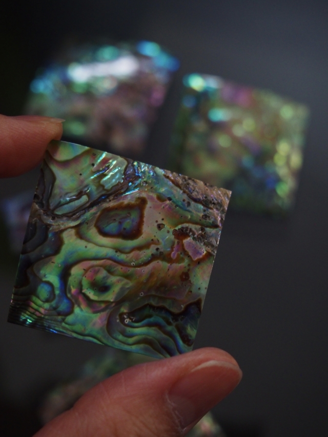貝殻プレート - アワビ-パウアアバロン (正方形)【約3.5×3.5cm/1枚