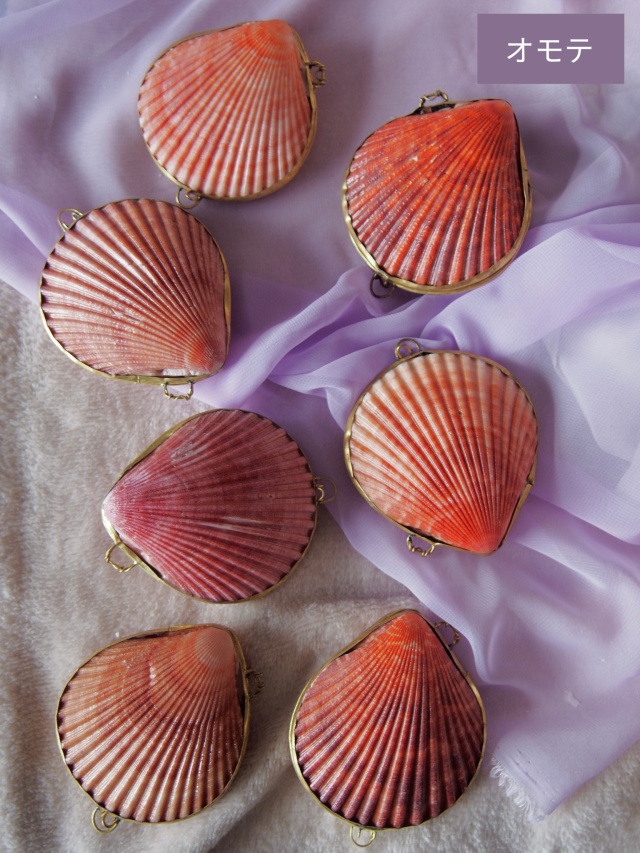 貝殻の小物入れ-ヒオウギガイ ニュアンスカラー-【6cm前後/1個】 En