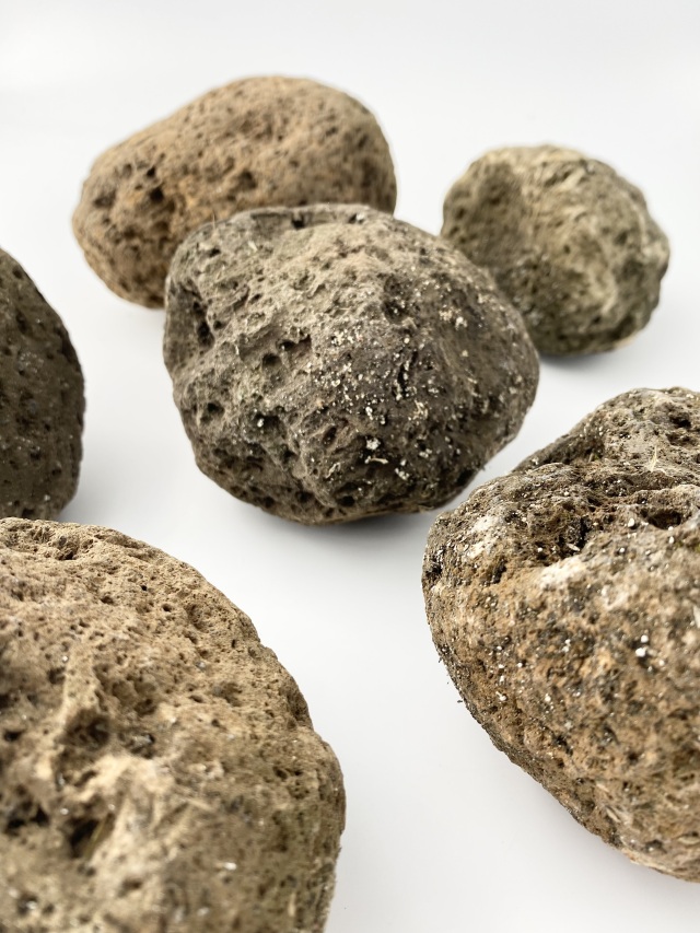 桜島軽石【約8～10cm/1個】