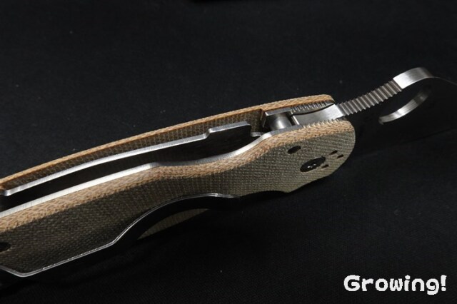 ナイフショップ グローイング！□Spyderco【スパイダルコ】□ パラ3