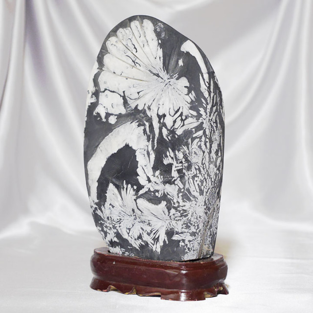 菊花石 No.227 【鑑賞用鉱石】高さ:約28cm 幅:約16cm 重さ:約4.0kg