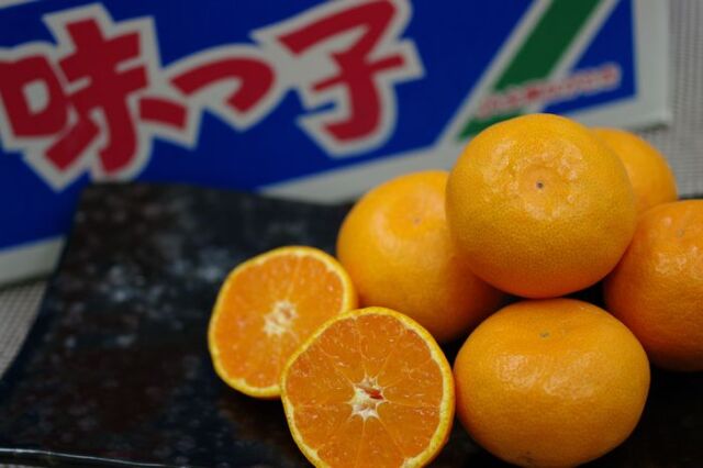 味っ子みかん通信販売 長崎県JA西海産をお歳暮長崎みかんに 糖度13度以上