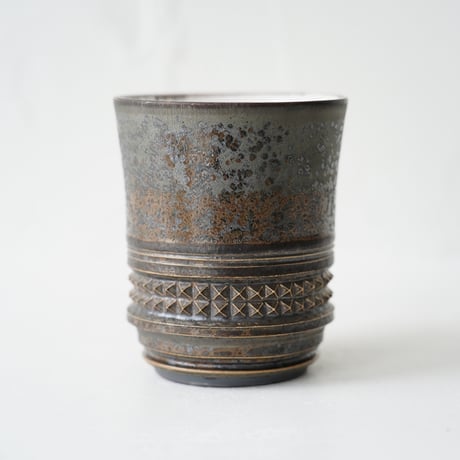 CATEGORY 濱中史朗 | JIBITA