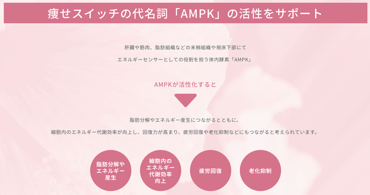 Ruby Fit（ルビーフィット） （キュア） | メディカルエステiroha