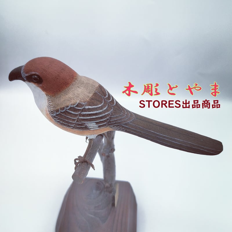 木彫バードカービング】モズ | 木彫とやま STORESネットショップ