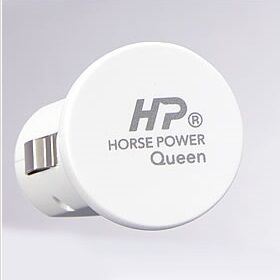 森修焼】ホースパワークイーン | LOHAS ISM Market