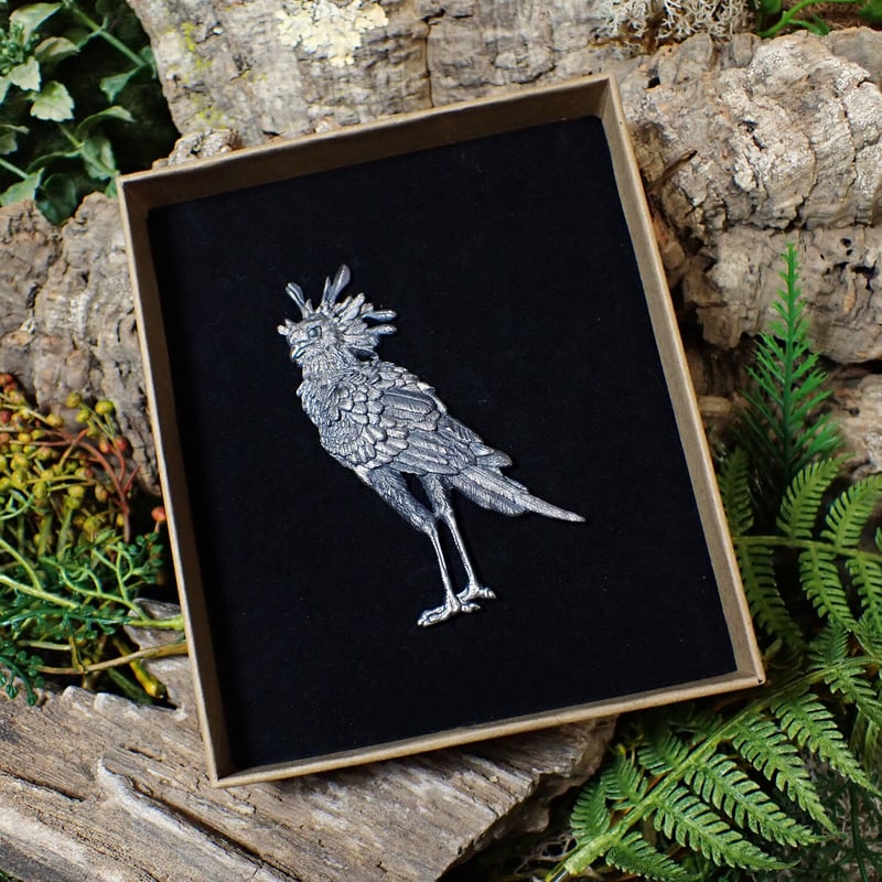 ヘビクイワシ全身ブローチ(black matte) | EmiriA online shop