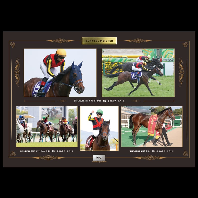 数量50個限定】シュネルマイスター引退記念写真デザインパネル