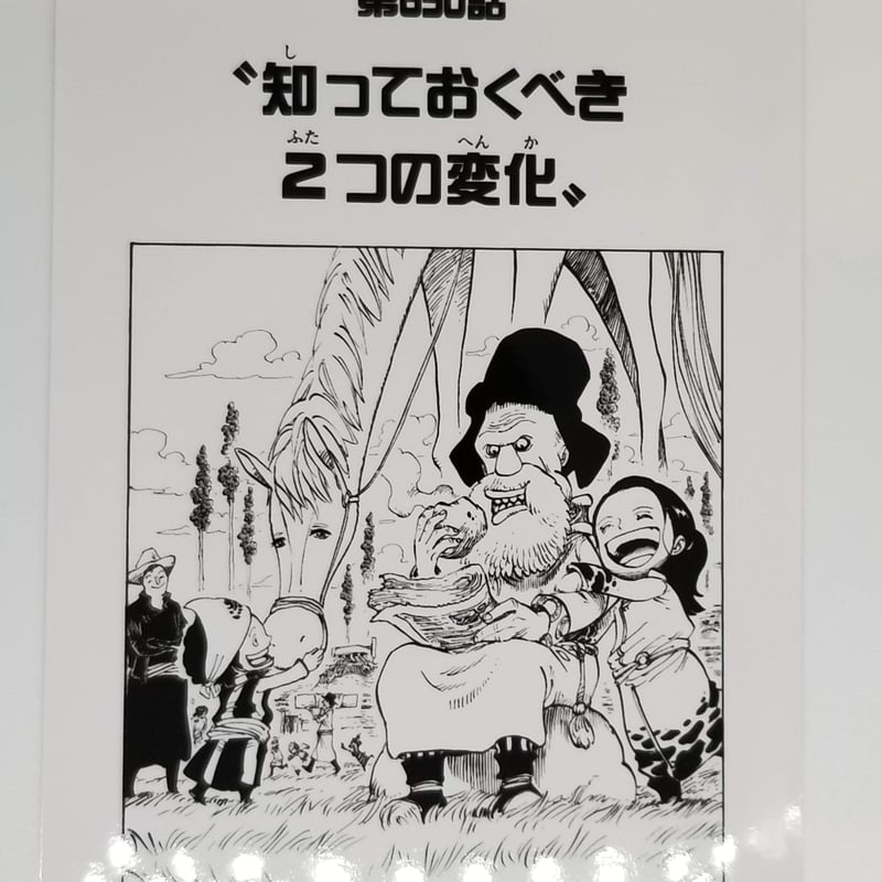 ONE PIECE 第650話 ”知っておくべき2つの変化”扉絵ブロマイド | K-BOOKS