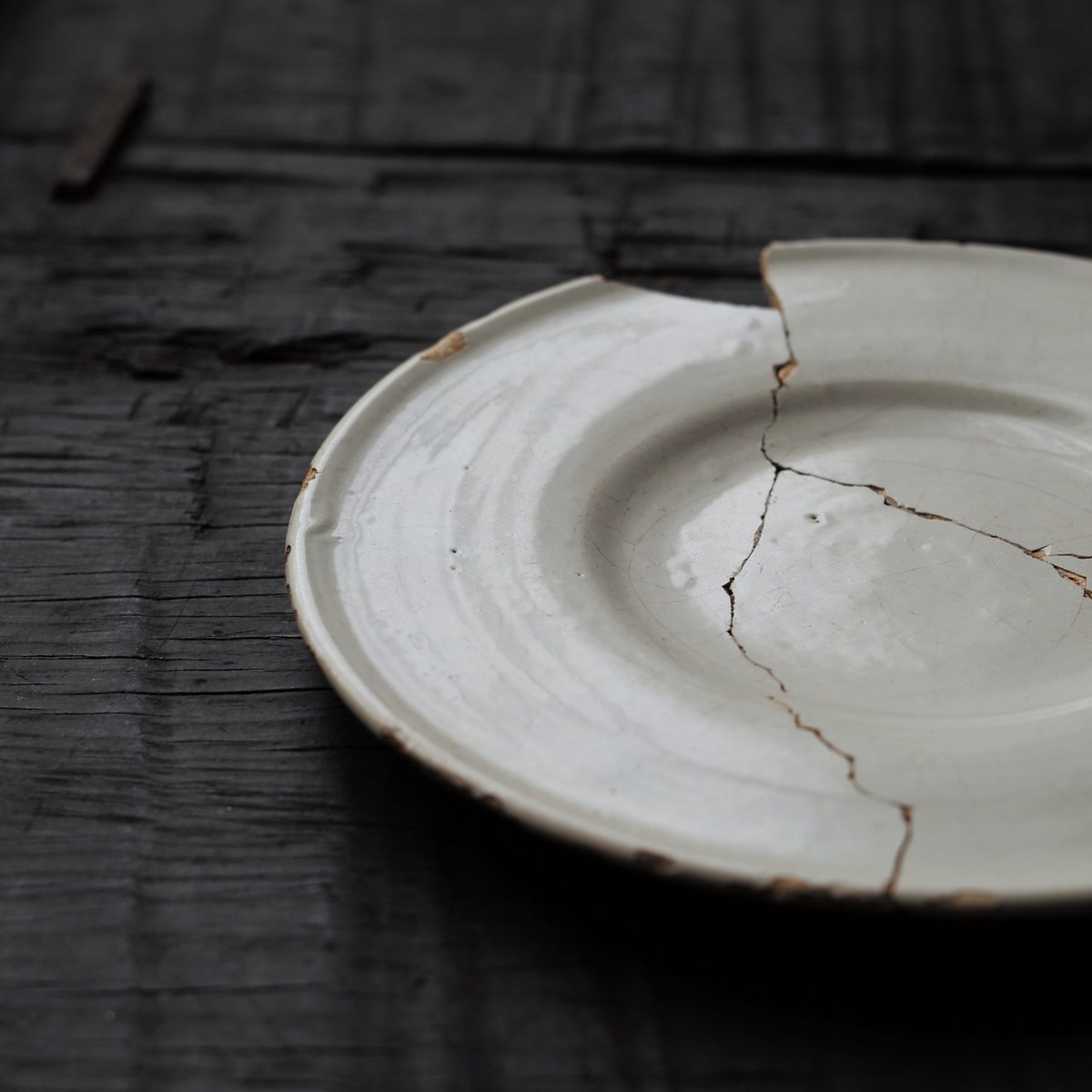 17世紀 オランダ デルフト白釉皿 / the Netherlands 17th C. | t