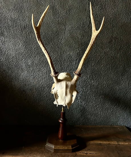 骨董・アンティークのオンラインショップ - 黒鶫骨董店通販サイト