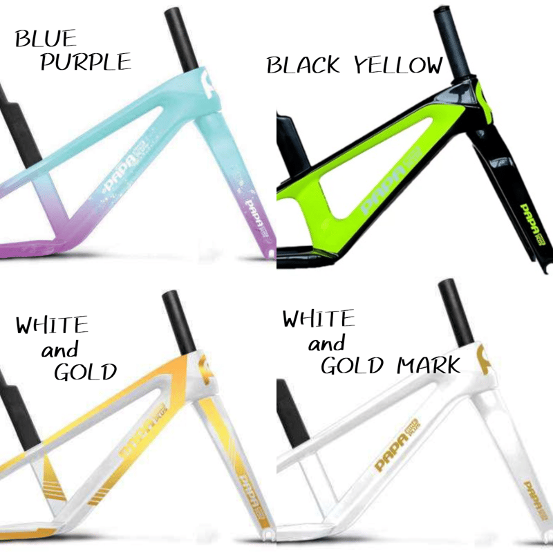 STORM PRO | PAPABIKE JAPAN