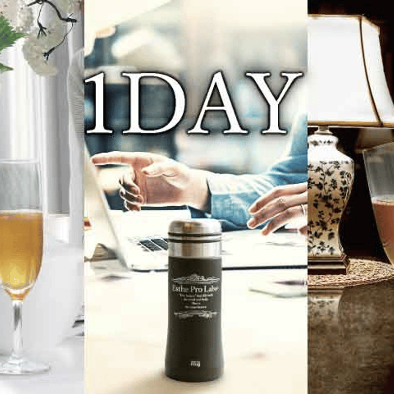 ファスティング1DAYセット（ハーブザイム1本、ファストプロミール3