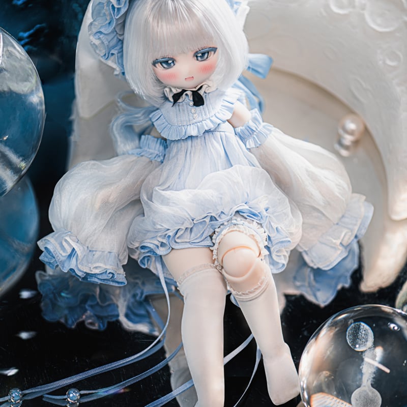 予約販売：2024年9月中 お届け予定】※当店限定選び特典付き※ TinyFox