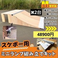 スケボー ミニランプ 組み立てキット Sサイズpro2台セット | スケボー