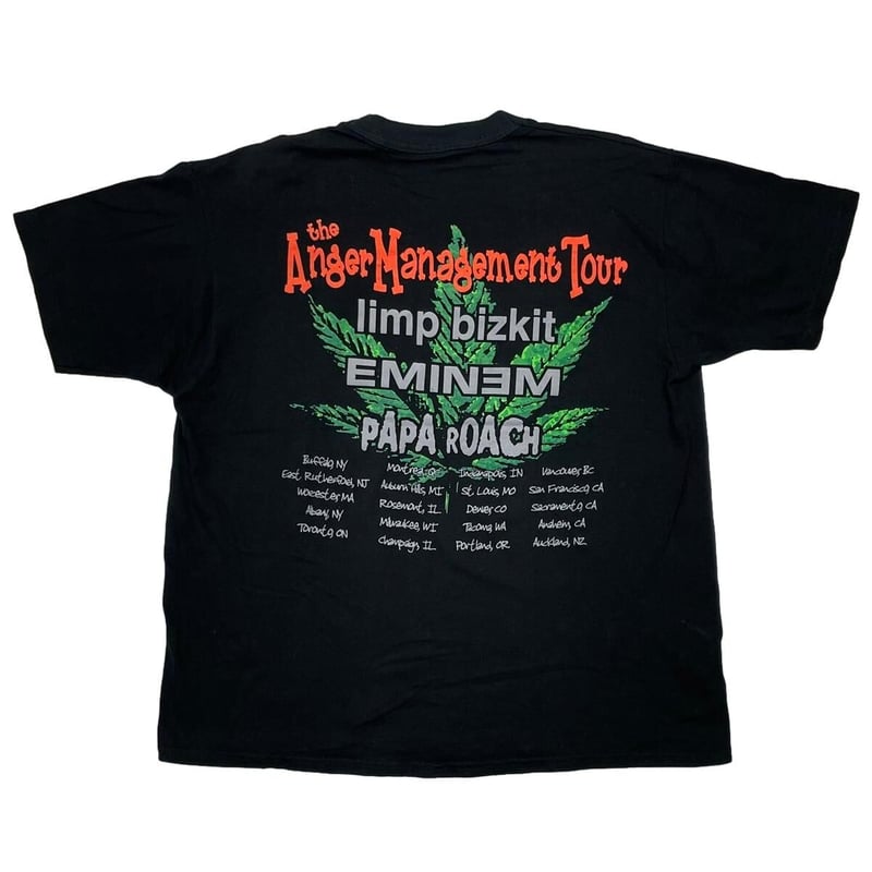 LIMP BIZKIT EMINEM ANGER MANAGEMENT TOUR FRUIT