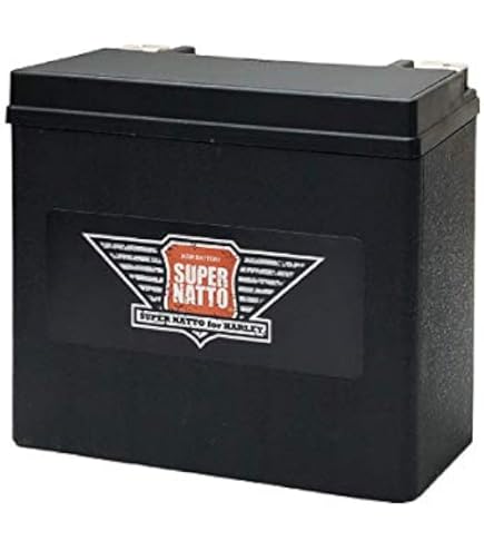 Amazon | デイトナ ハイパフォーマンス バッテリー DYTX20HL-BS