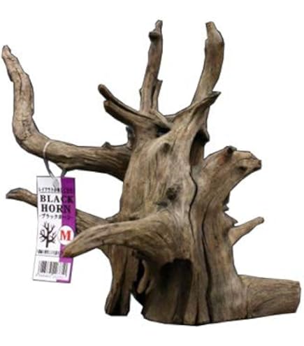 クワリウム 特大サイズ シェルター 登り木 エサ台 Amazon.co.jp