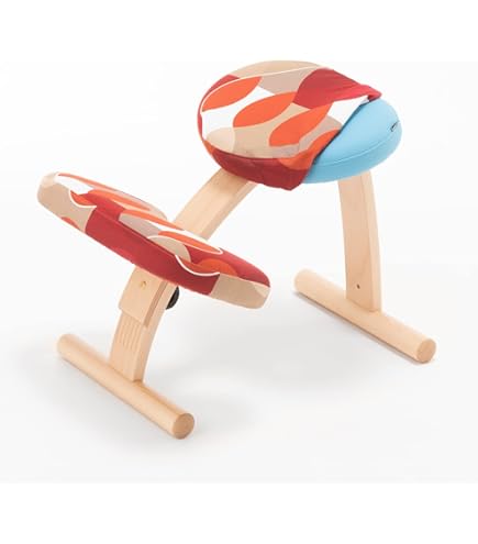 Amazon.co.jp: バランスラボ バランスイージー 通常フレーム 通常箱