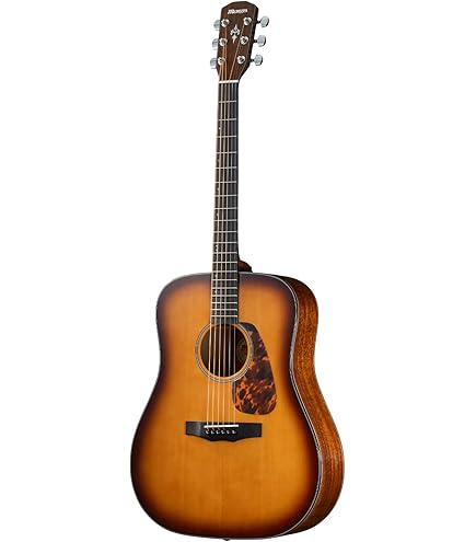 Amazon | MORRIS F-020 TS アコースティックギター | スチール弦