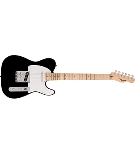 Amazon | PLAYTECH エレキギター ST250 BLACK Maple | エレキギター