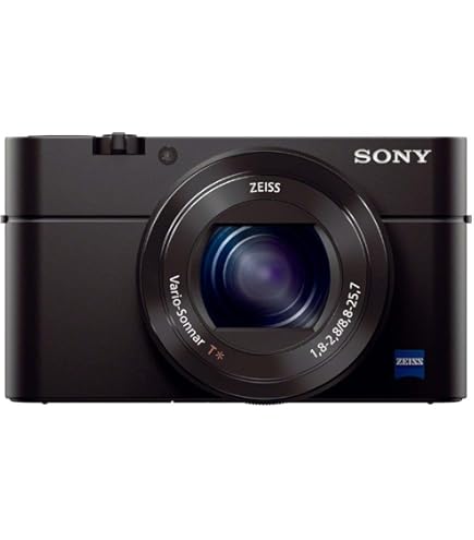 Amazon | SONY ビデオカメラ HANDYCAM CX430V 光学30倍 内蔵メモリ32GB