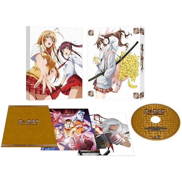 Amazon.co.jp: 一騎当千 XTREME XECUTOR [レンタル落ち] 全6巻セット