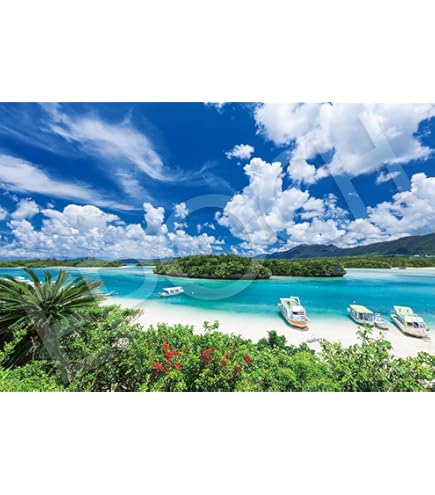 Amazon | エポック社 1000ピース ジグソーパズル 日本風景 石垣島の碧