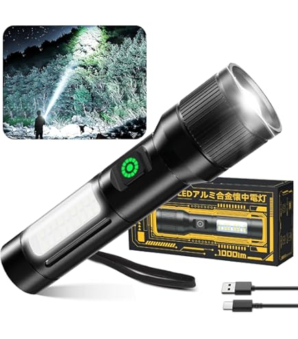 Amazon | パナソニック 蛍光灯付強力ライト BF-664F | パナソニック