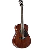 Amazon.co.jp: ヤマハ YAMAHA アコースティックギター FG850 熱く