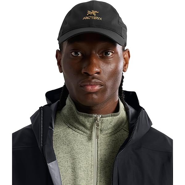 Amazon | ARCTERYX VEILANCE (アークテリクス ヴェイランス) VEILANCE