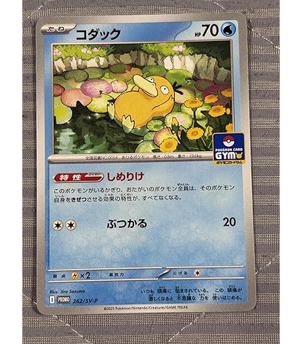 Amazon.co.jp: コダック しめりけ 262 SV P ジム プロモ : ホビー