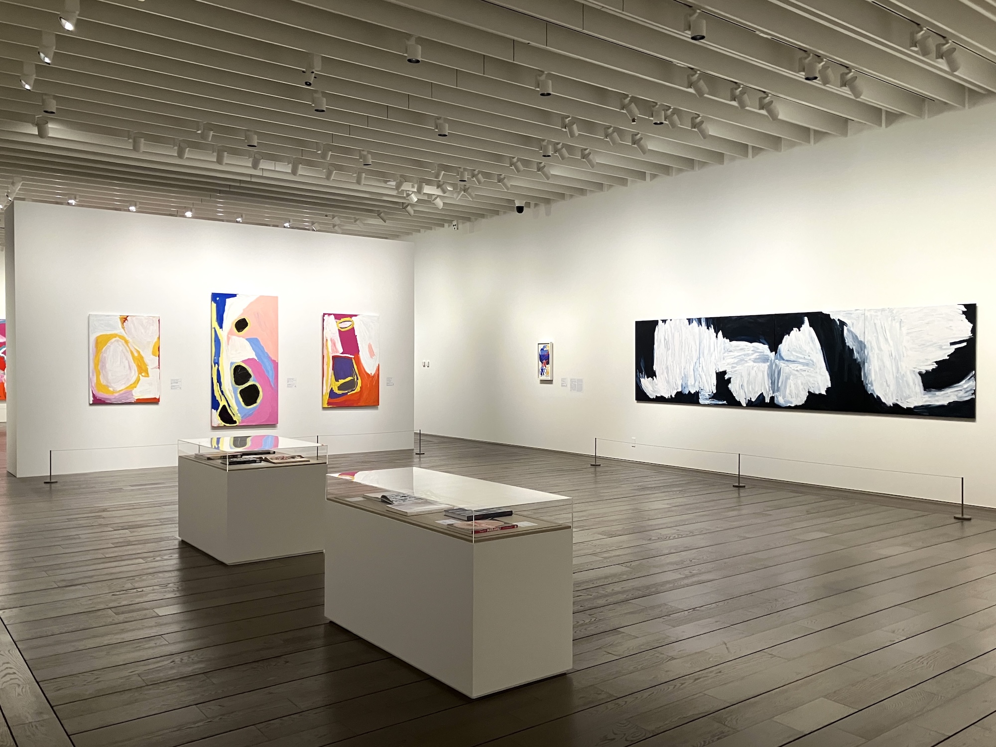 彼女たちのアボリジナル・アート オーストラリア現代美術