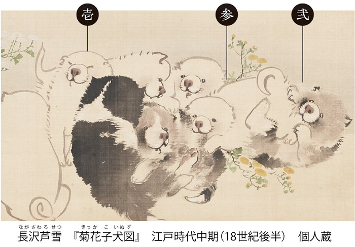 もっちりかわいい！ 江戸時代の絵師・長沢芦雪が描いた「芦雪犬」が