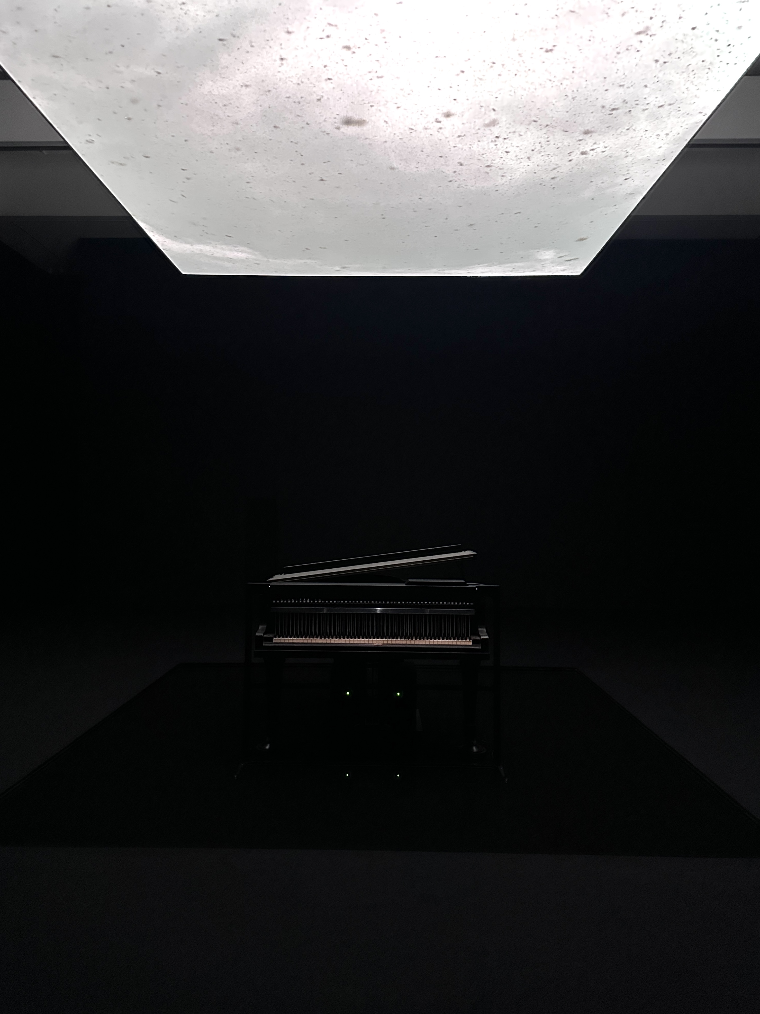 坂本龍一 | 音を視る 時を聴く」（東京都現代美術館）レポート。坂本が