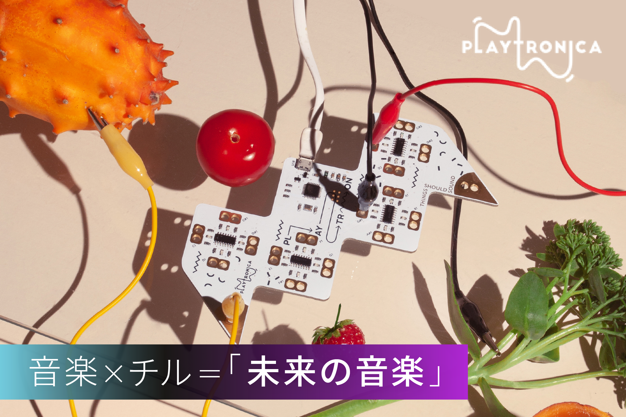 Playtron & TouchMe 人や水、花で音を奏でる「魔法の楽器」 | Kibidango