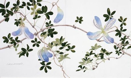 銀座三越で玉村豊男さんの絵画展－信州の自然描いた新作など100点