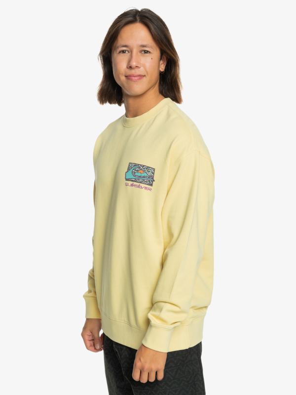 Spin Cycle - Pullover Sweatshirt for Men | Quiksilver