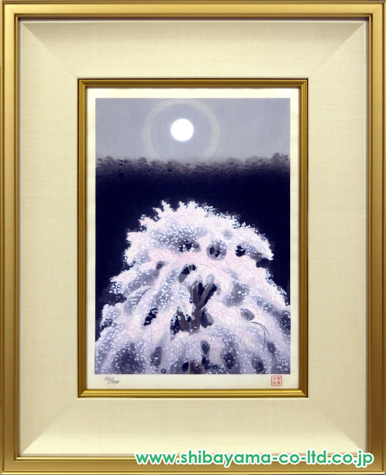 5326_48ddd215a41532b340678203e