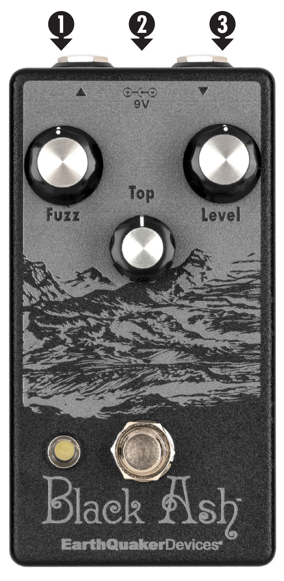 Black Ash Endangered Fuzz — EarthQuaker Devices