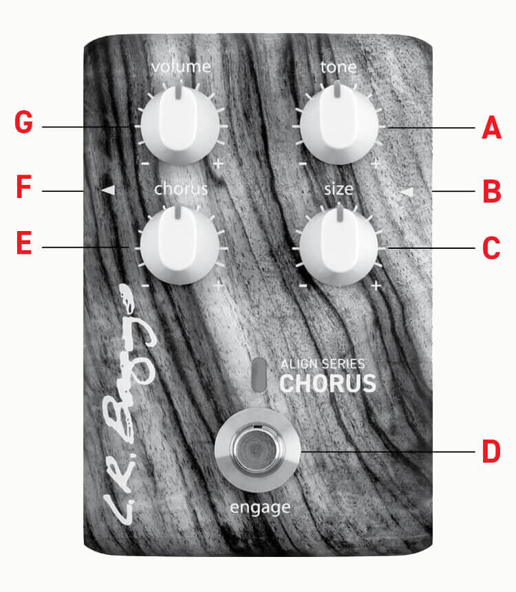 Align Series Chorus User's Guide — LR Baggs