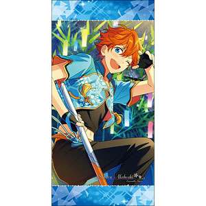 あんさんぶるスターズ！ ビジュアルバスタオルVol.5 1.氷鷹北斗（再販